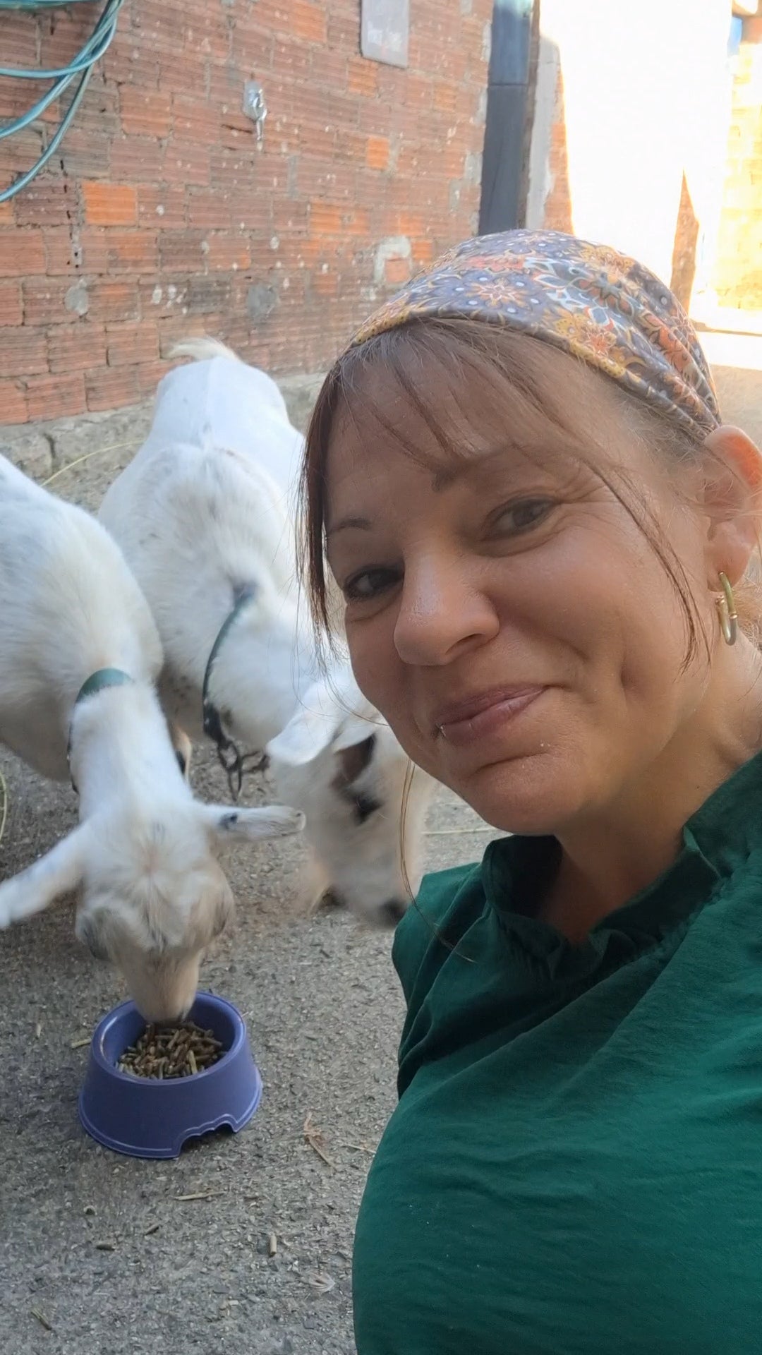 Meet the Goats