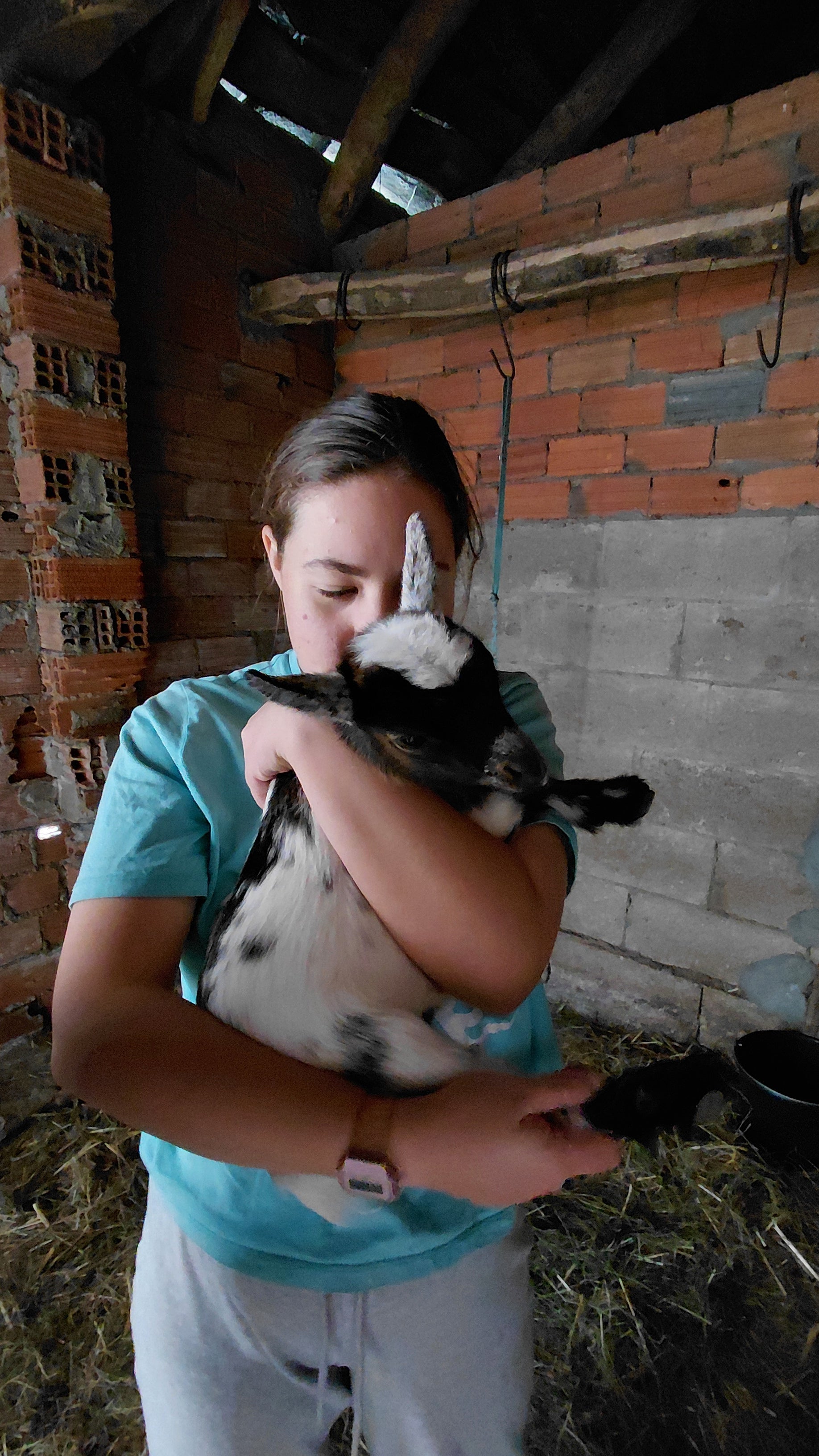 November 2025, We are growing! and facing ongoing challenges!