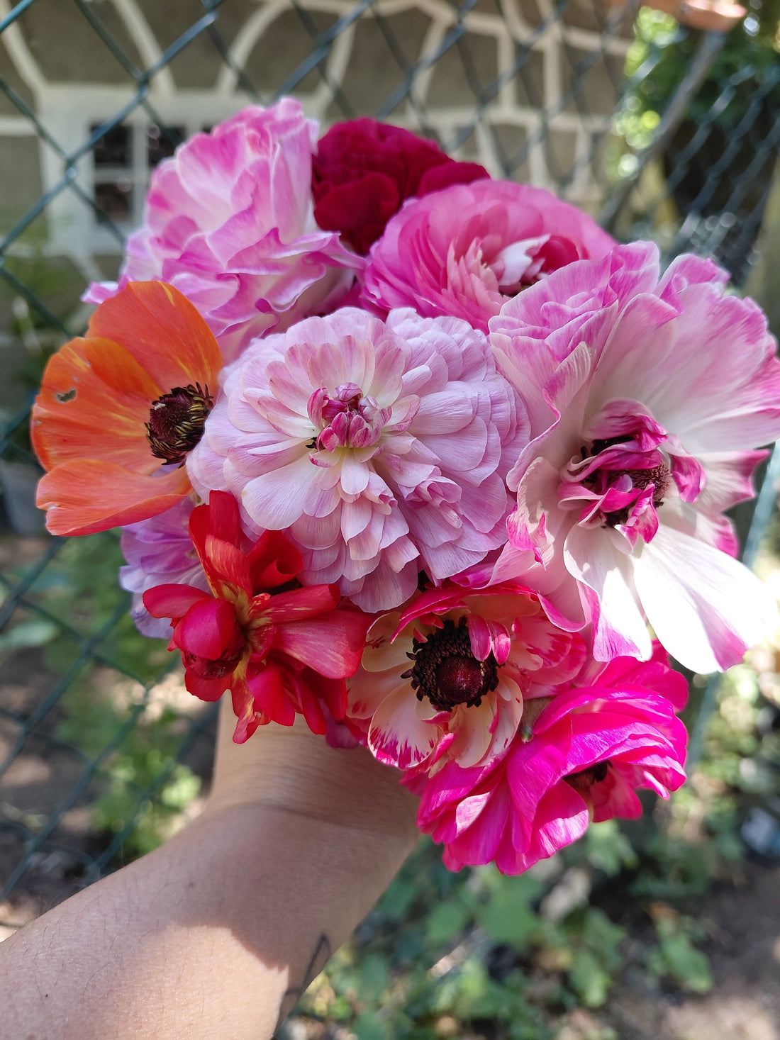 We are launching Petals and Hens!  Our new business!