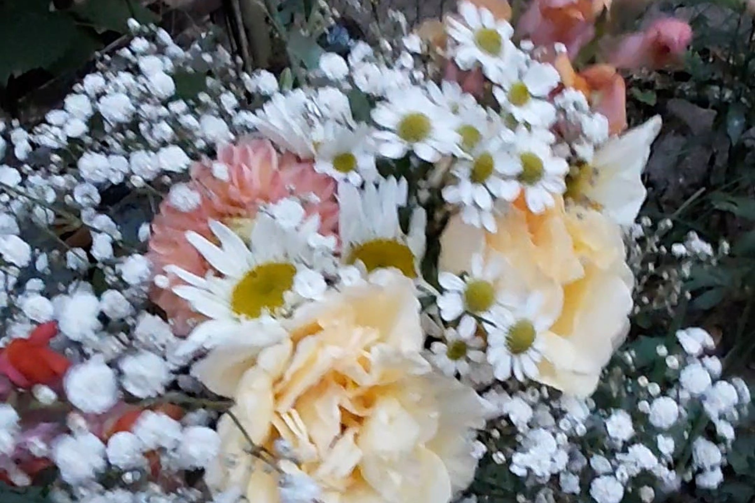 Wild Trails Farm Flowers from the flower field in soft yellows and pinks